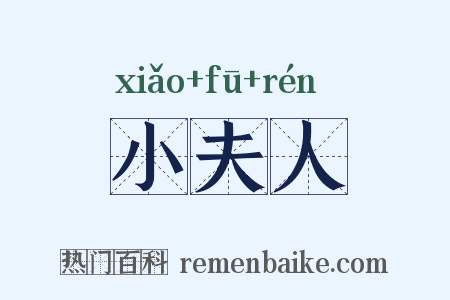 小夫人是什么意思的图片